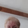 lesliepeters740